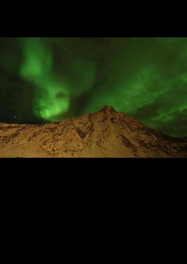 Senja Villa Gryllefjord Exteriér fotografie